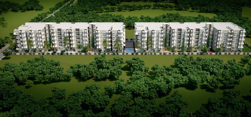 Images for Elevation of Jana Orchid