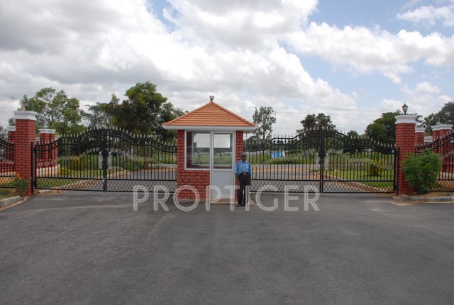 Images for Elevation of Lasya Magnolia
