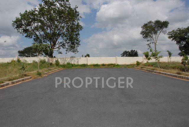 Images for Elevation of Lasya Magnolia