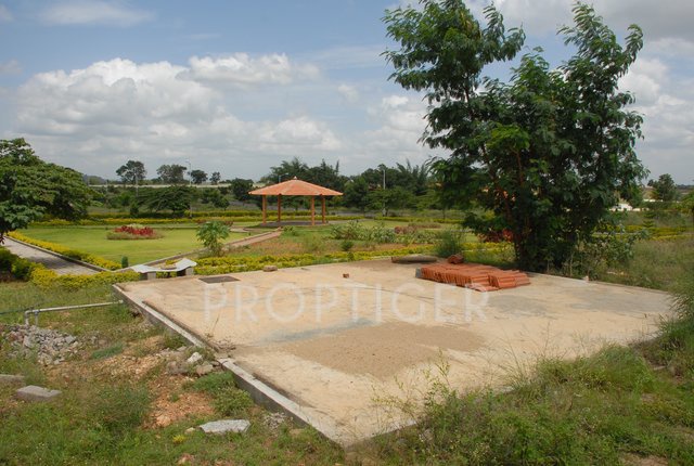 Images for Elevation of Lasya Magnolia