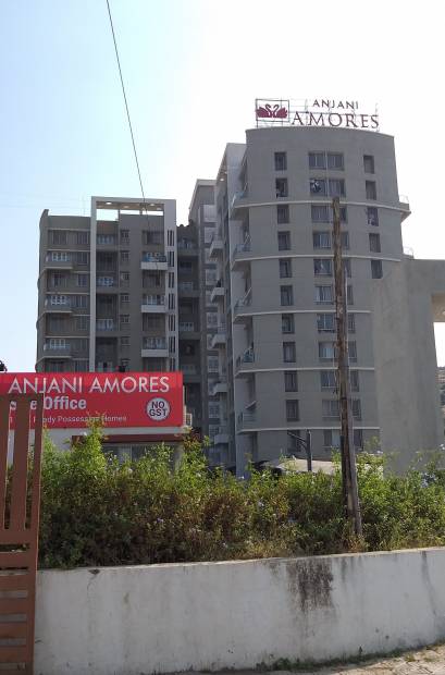  amores Images for Project