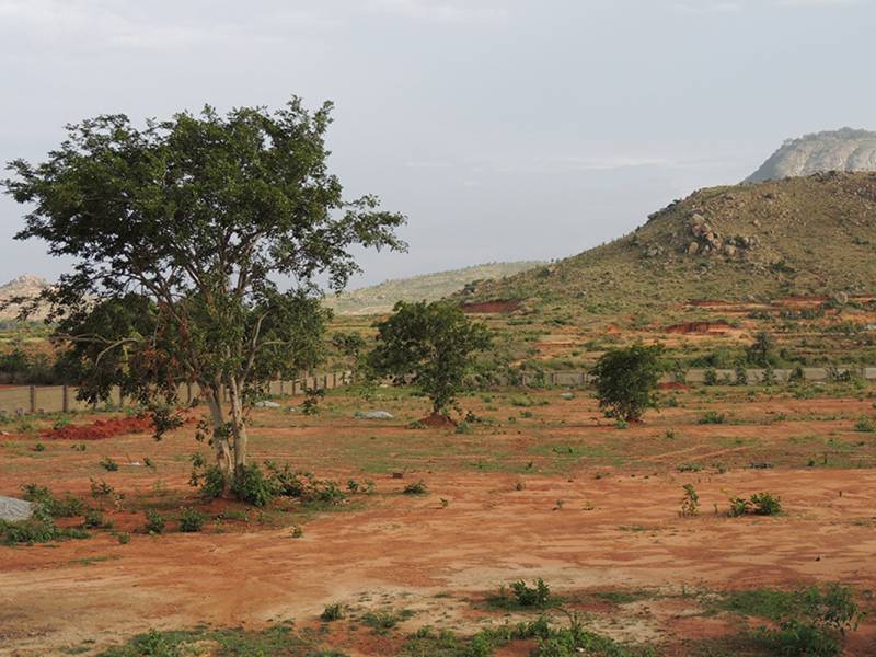 Images for Main Other of Wellnest Prashanthi Nest