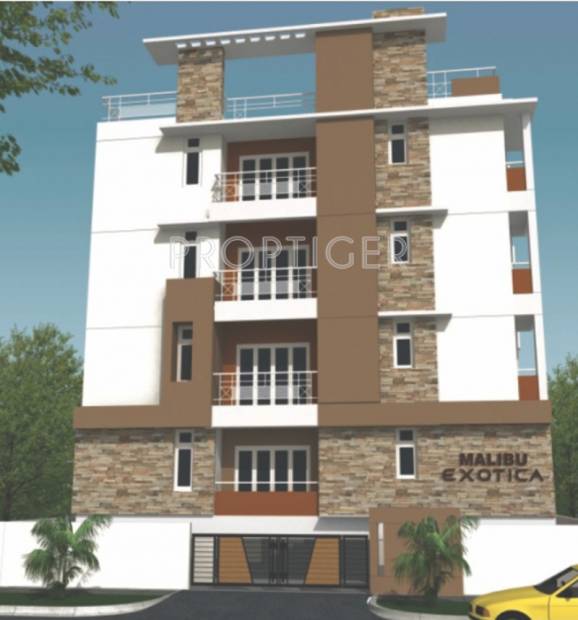 Images for Elevation of Malibu Projects Exotica