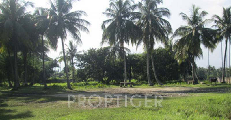 Images for Main Other of Apni Swapna Neer