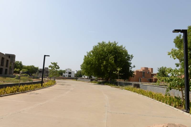 Images for Main Other of Sarthav Abhishree Orchard