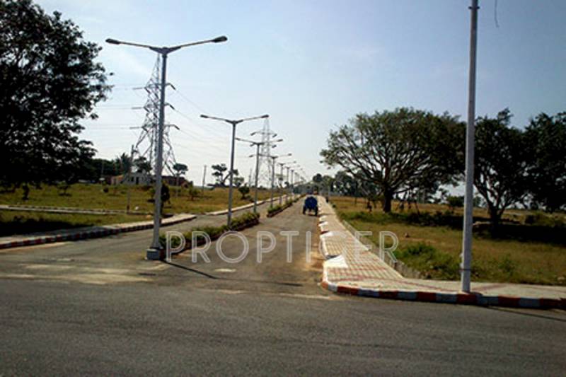 Images for Main Other of MMG Asset Habitat