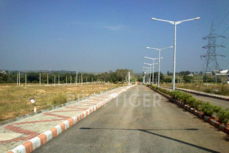Images for Main Other of MMG Asset Habitat