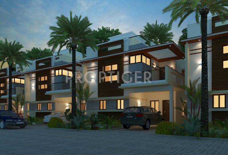 Images for Elevation of Peninsula Solitaire
