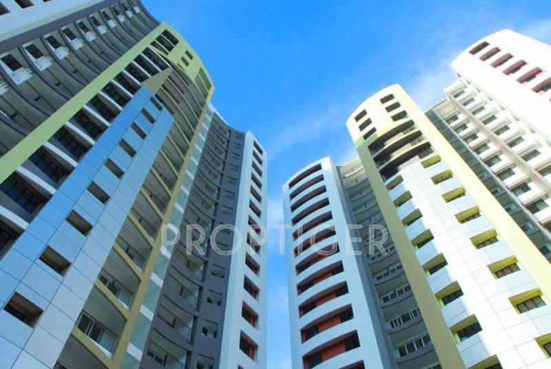  bluechip Images for Elevation of ABAD Bluechip
