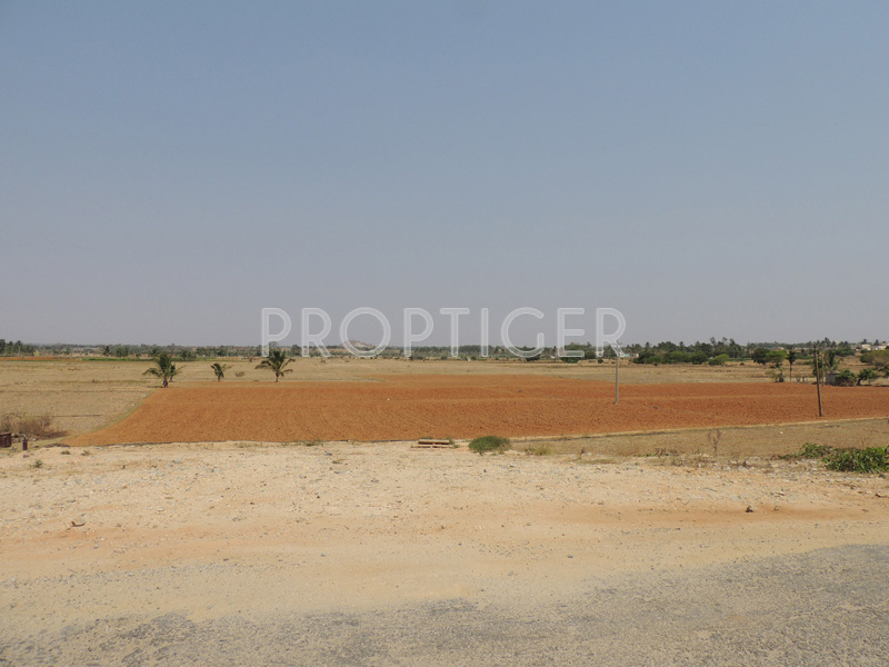 Images for Main Other of Wellnest Skandagiri County