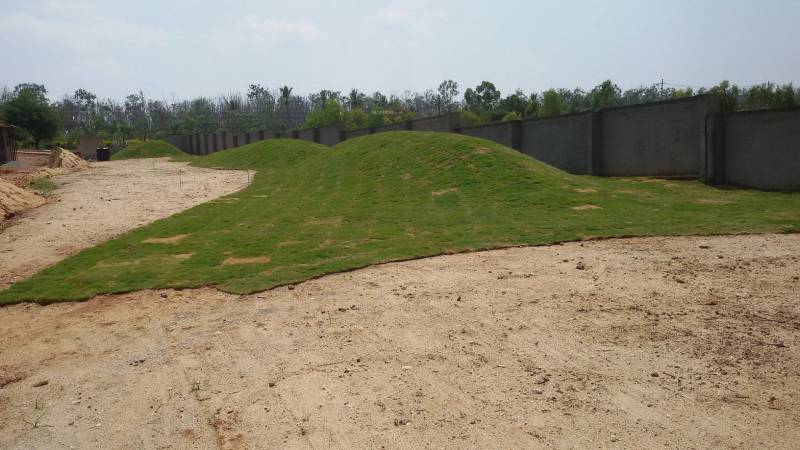 Images for Amenities of Golden Aster Park