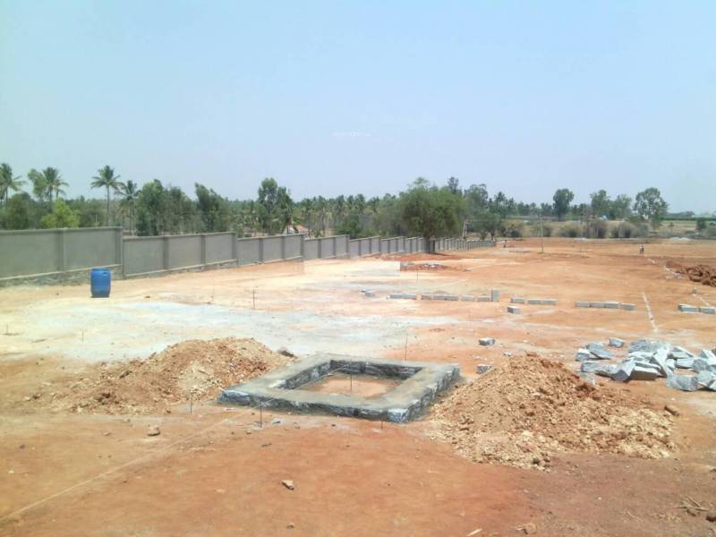 Images for Amenities of Golden Aster Park