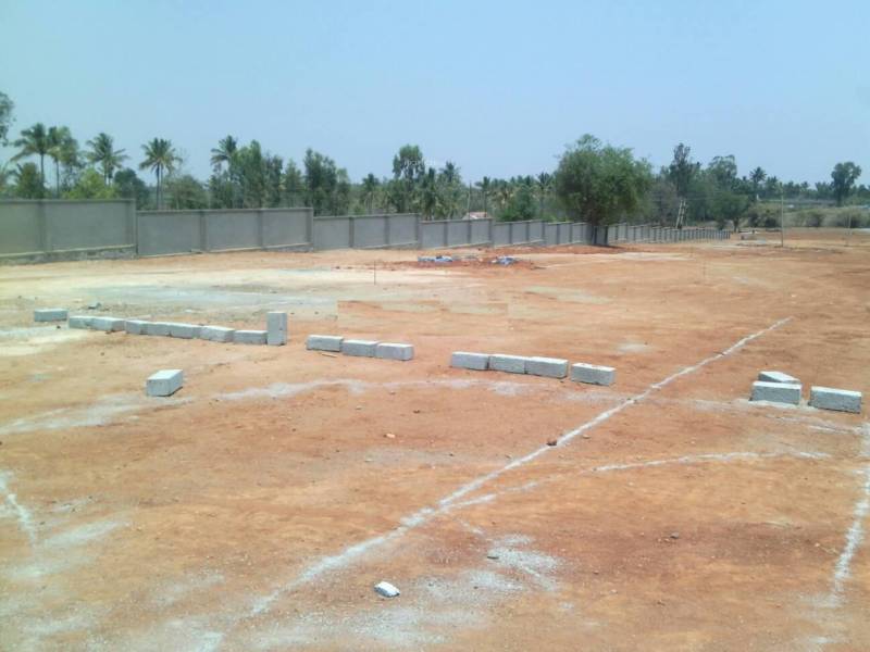 Images for Amenities of Golden Aster Park