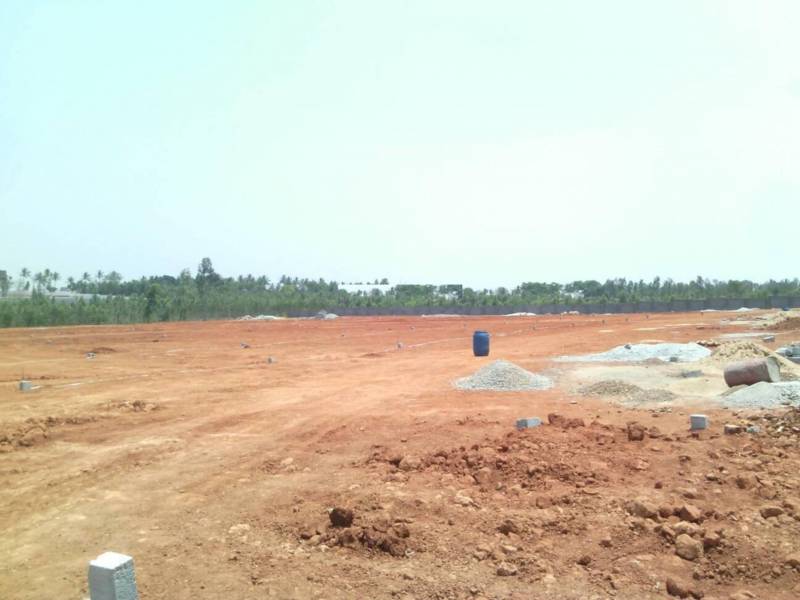 Images for Amenities of Golden Aster Park
