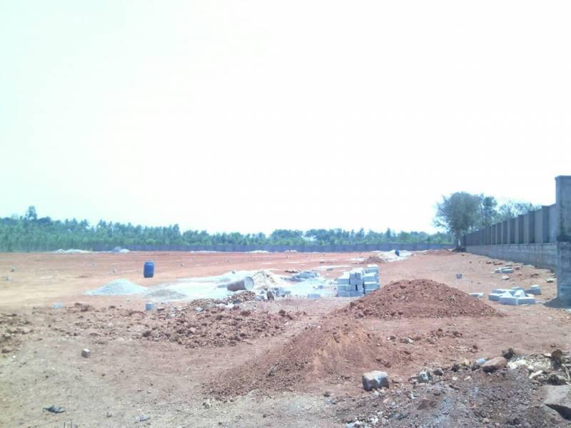 Images for Amenities of Golden Aster Park