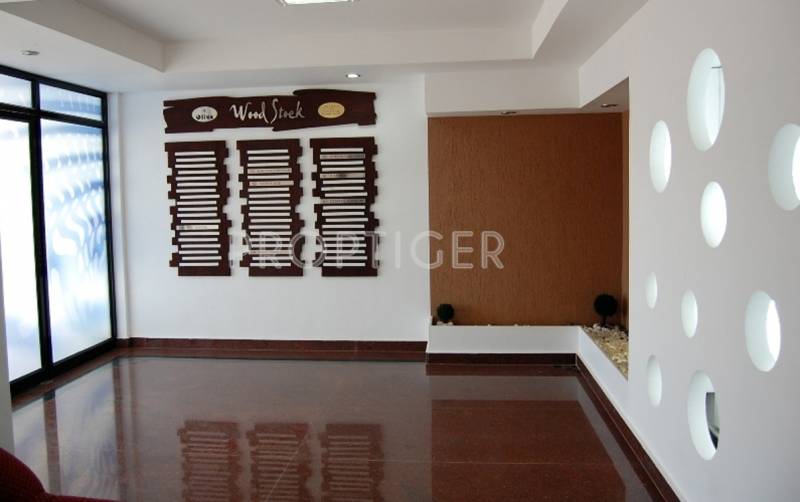Images for Main Other of Olive Builders Wood Stock