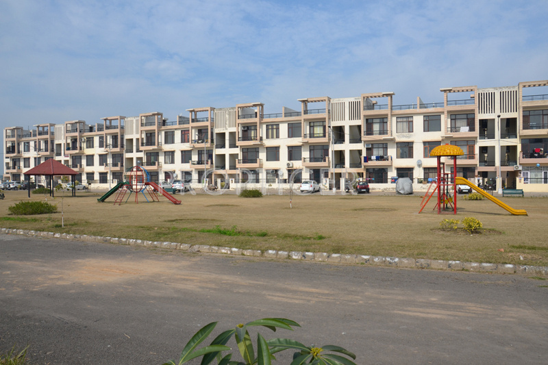 Images for Elevation of TDI My Floors