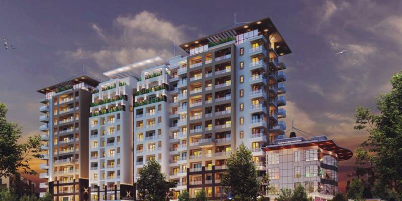  solitaire Images for Elevation of Rotson Solitaire
