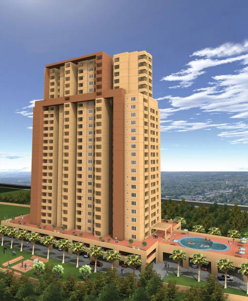 Images for Elevation of Oceanus Maple