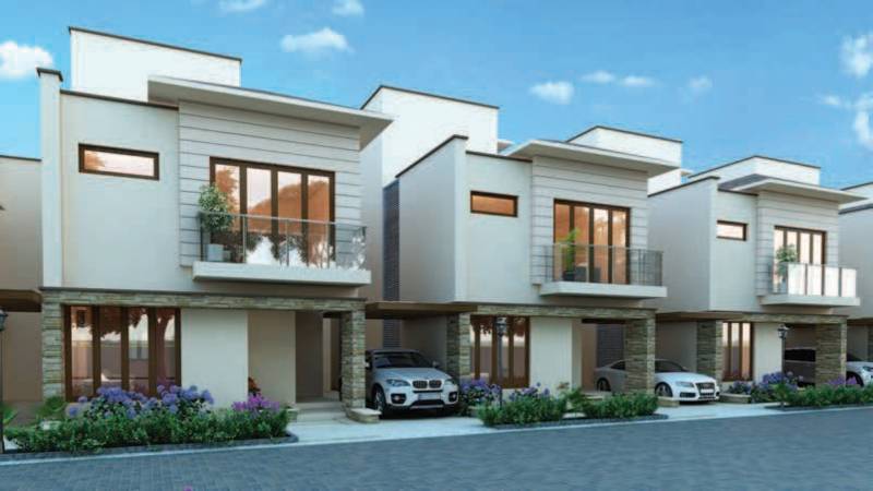  luxus Images for Elevation of Casagrand Luxus