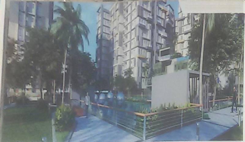 Images for Elevation of Merlin Maximus