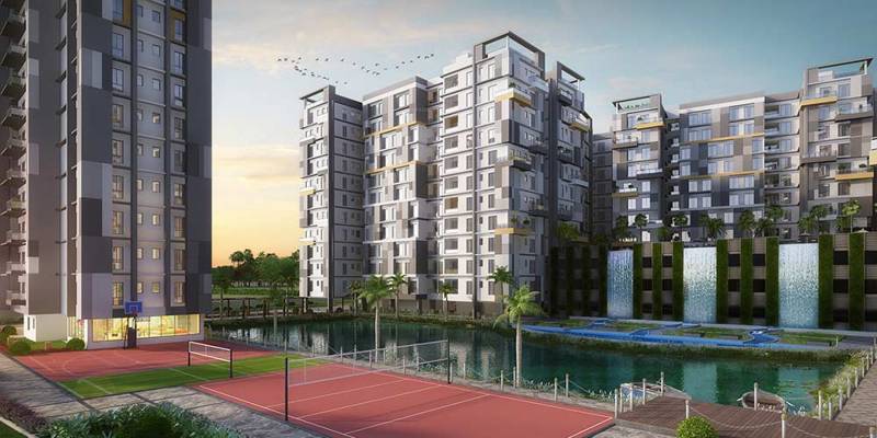 Images for Elevation of Merlin Maximus