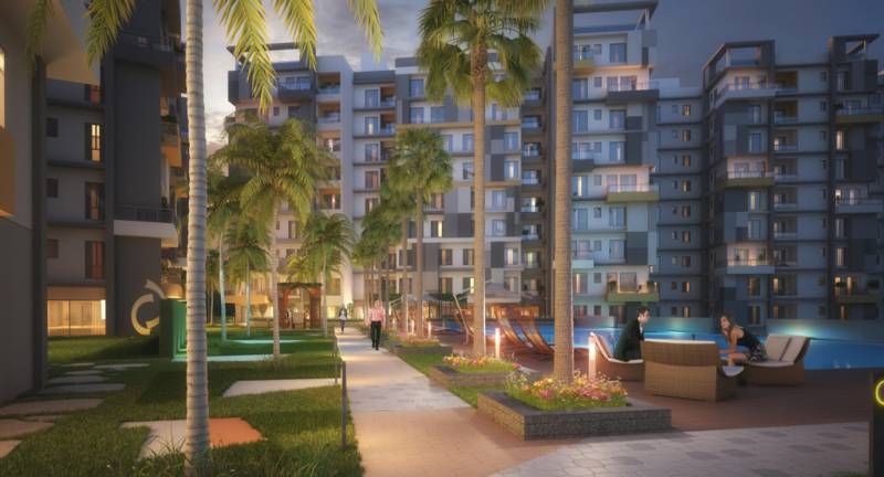 Images for Elevation of Merlin Maximus