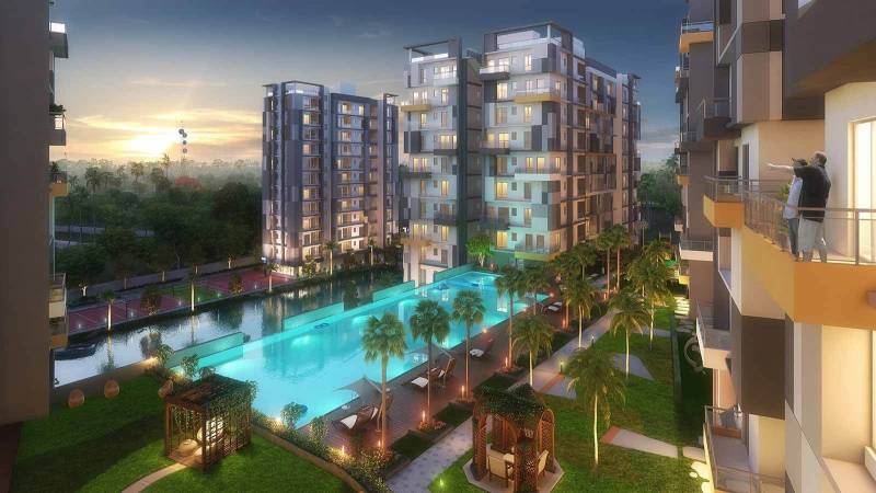 Images for Elevation of Merlin Maximus