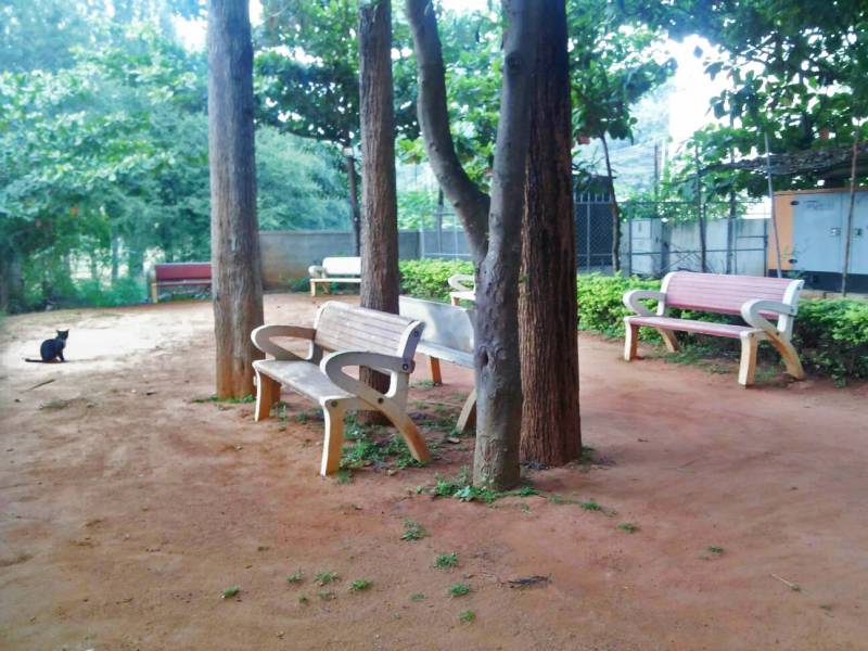 Images for Main Other of Pyramid Green Woods