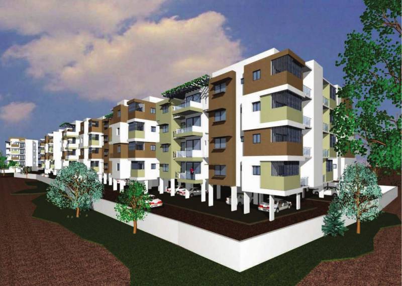  ariston Images for Elevation of DNA Ariston