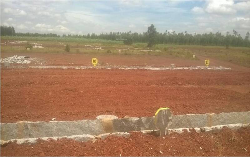 Images for Elevation of Transcity Keerthi