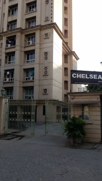  chelsea Images for Project