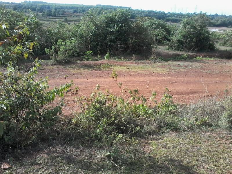 Images for Main Other of Shree Balaji Developers and Builders Shree Balaji Phase VI