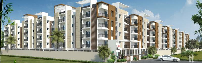  superb Images for Elevation of Urban Tree Superb