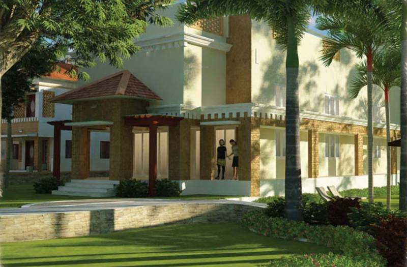  kasavu Images for Elevation of Asset Kasavu