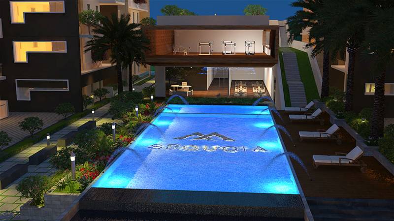  sequoia Images for Amenities of Marvel Sequoia