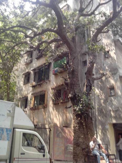 Images for Elevation of Reputed Builder Om Sai Siddhi Apartment
