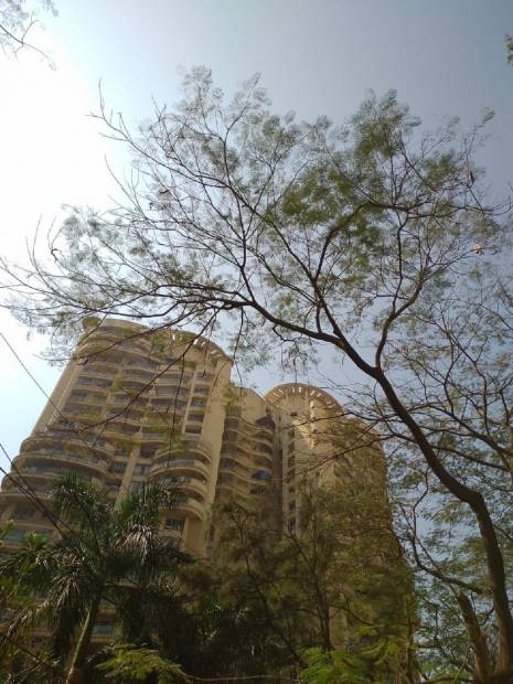  hiranandani-gardens Images for Project