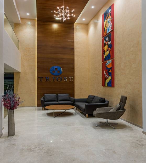 Images for Main Other of Yashada Triose