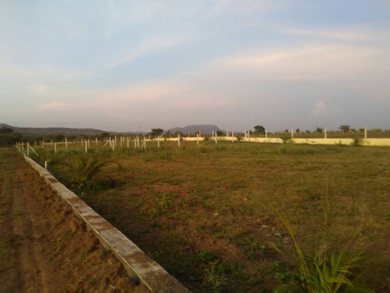 Images for Amenities of My Land My Pride My Fortune II