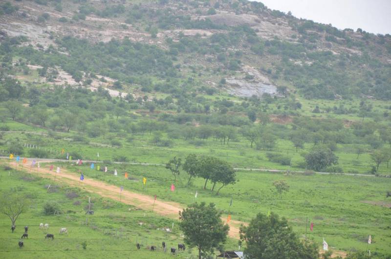  maruti-hills-township-phase-i Plot