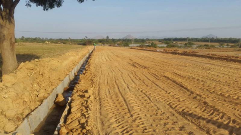 Images for Main Other of Kadam Royal Cypress