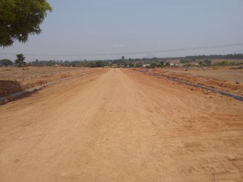 Images for Main Other of Kadam Royal Cypress