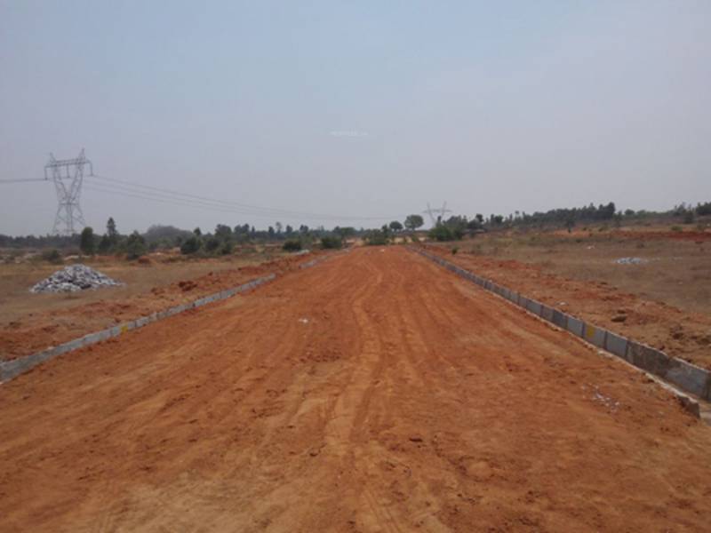 Images for Main Other of Kadam Royal Cypress