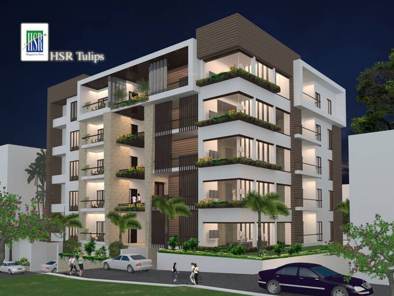 Images for Elevation of HSR Tulips