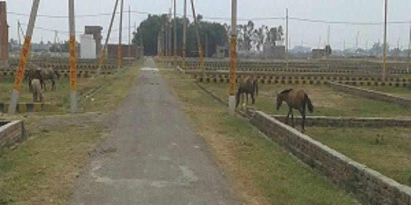  vihar-phase-iv Images for Amenities of Surya Surya Vihar Phase IV